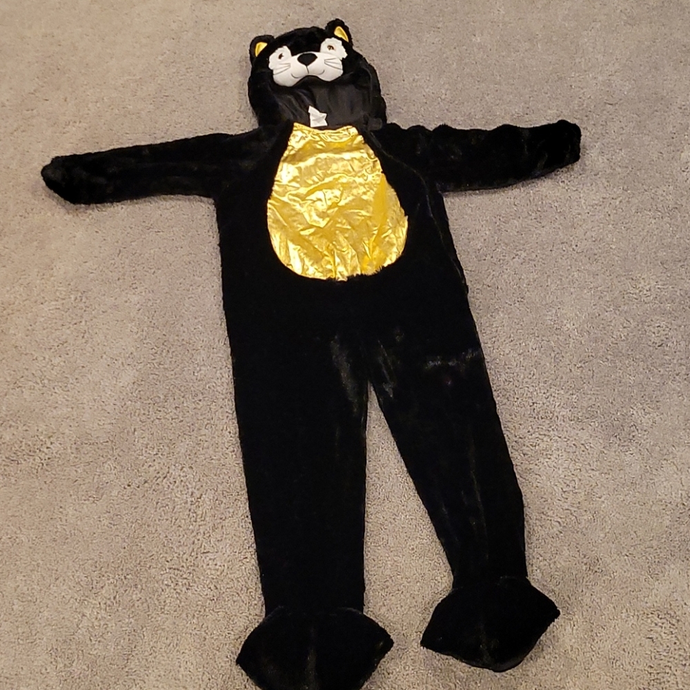 Black Cat Costume